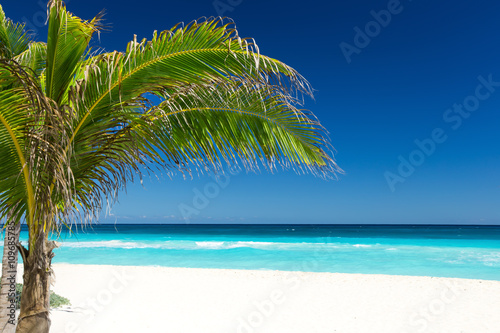 Fototapeta Naklejka Na Ścianę i Meble -  Tropical beach with coconut palm tree and white sand