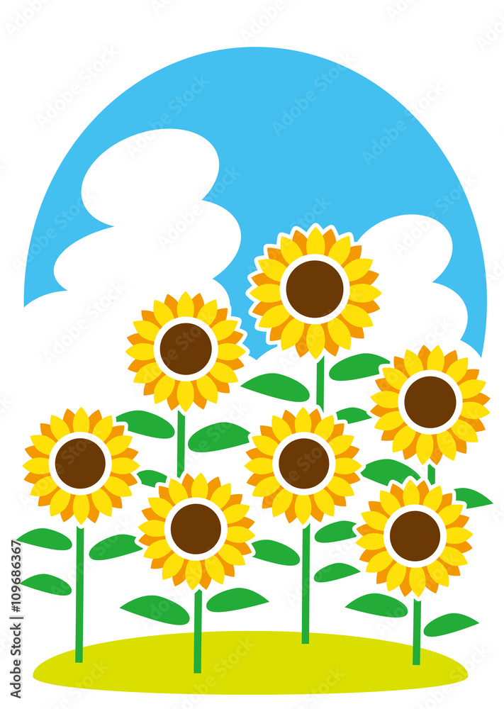 夏 活き活き 向日葵 夏 活き活き 向日葵