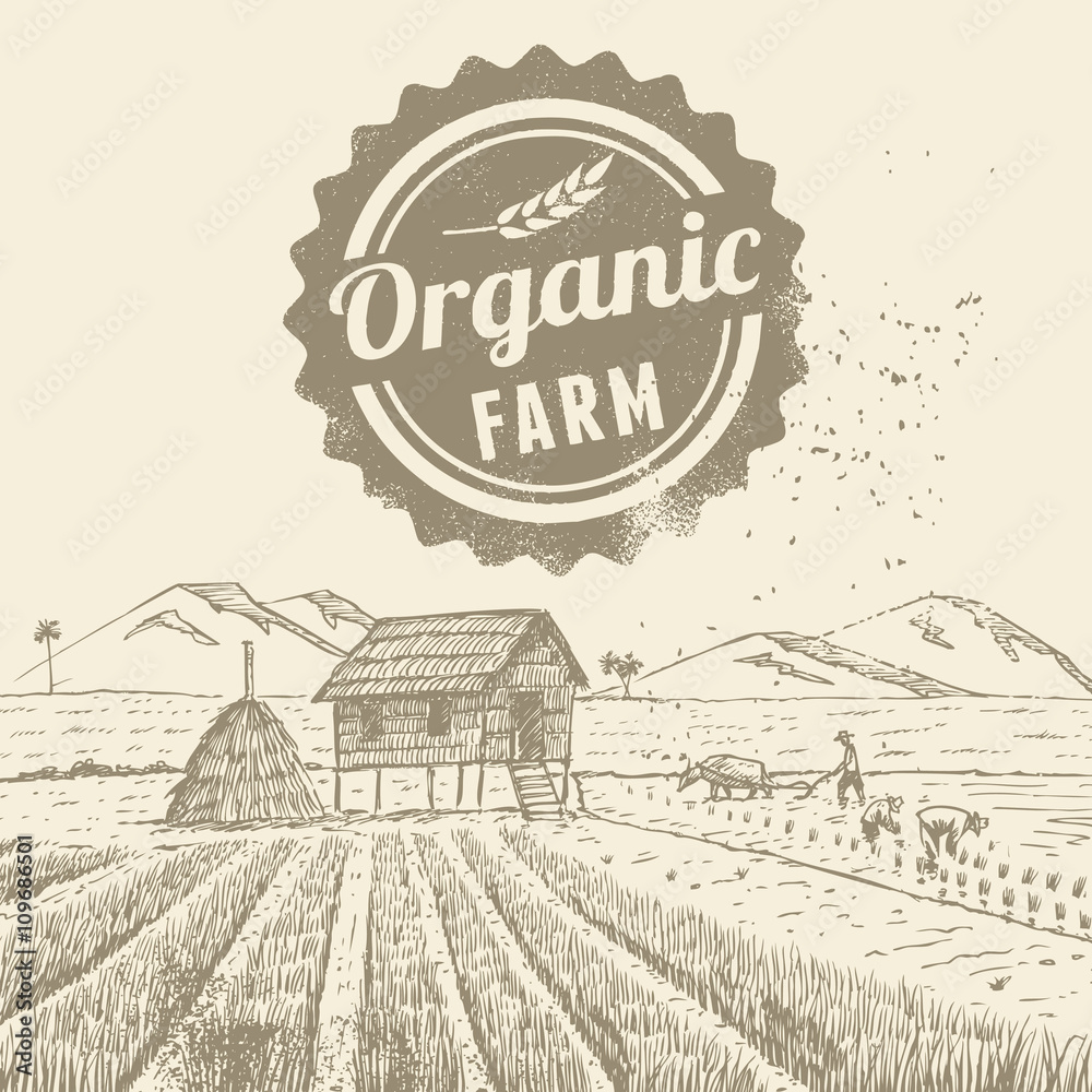 vegy 3 · Organic Farming Works
