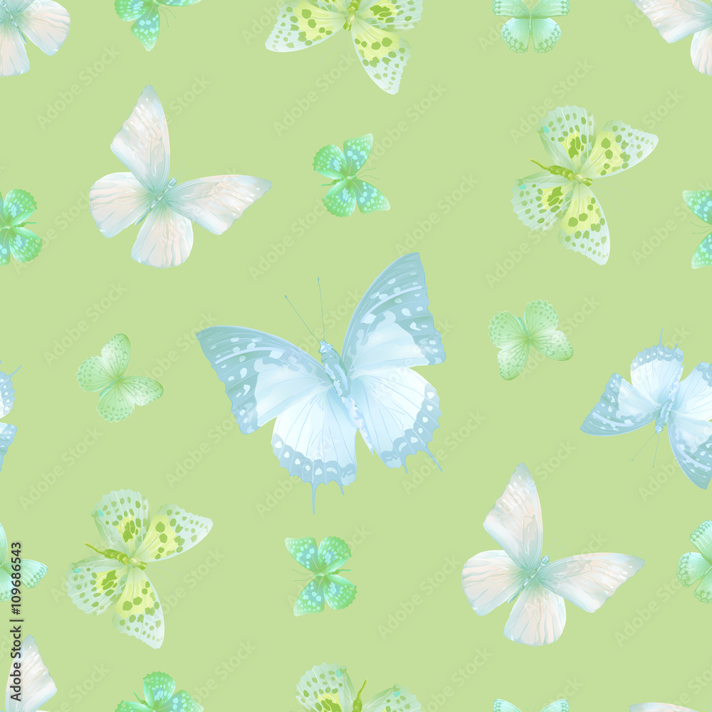 Fototapeta premium butterfly 07 green