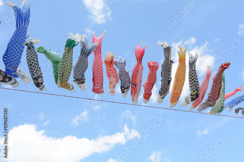 Carp Streamer in the sky photo