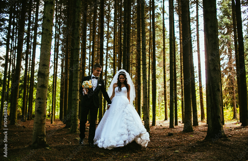 Lovely wedding couple at sunny day on pine wood forest. The groom holds the bride's hand. Walk through the pine forest. The bride serenity, roses bouquet in her hands. The man in the black suit Lovely wedding couple at sunny day on pine wood forest. The groom holds the bride's hand. Walk through the pine forest. The bride serenity, roses bouquet in her hands. The man in the black suit