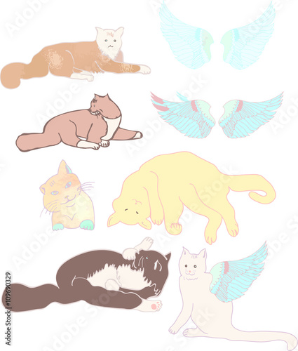 Cat posture hand drawn mixed some watercolor textures vector file
