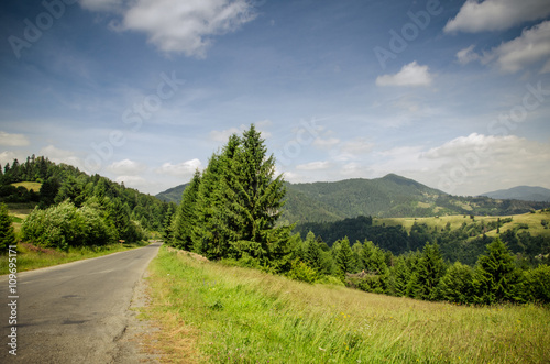 mountain summer landscape. trees near meadow and forest on hills