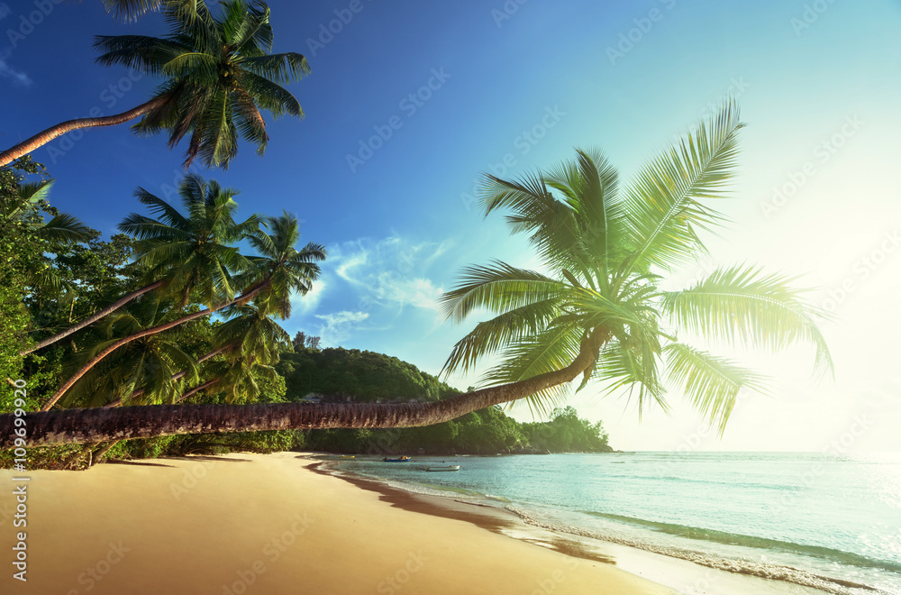 sunset on the beach, Mahe island, Seychelles