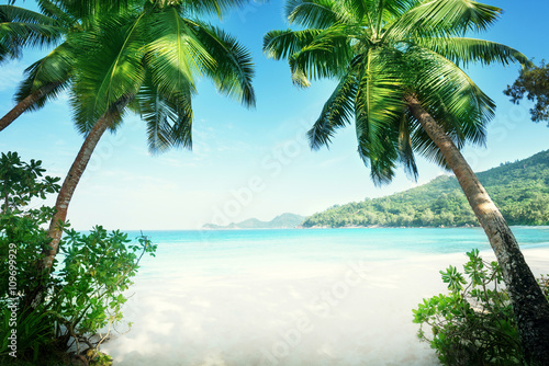 beach Takamaka  Mahe island  Seychelles