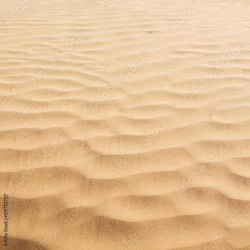 in oman the old desert and the empty quarter abstract  texture l © lkpro