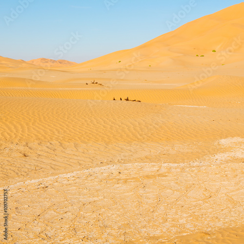 in oman old desert  rub al khali the empty  quarter and outdoor