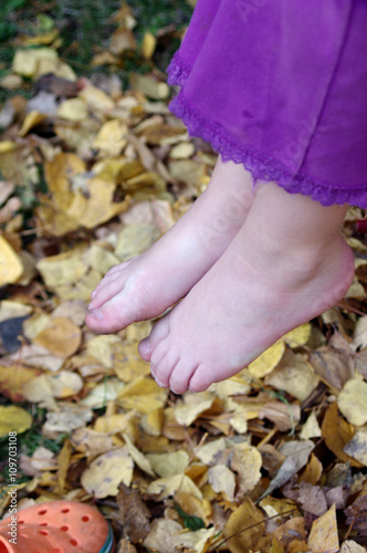 Bare feet on a background of fall leaves  photo