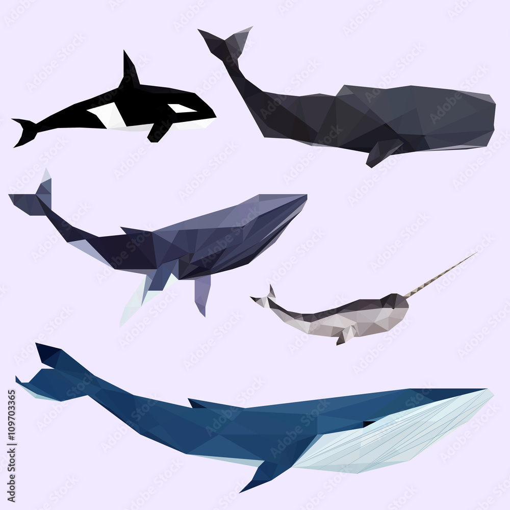 Fototapeta premium Geometric colored whale set