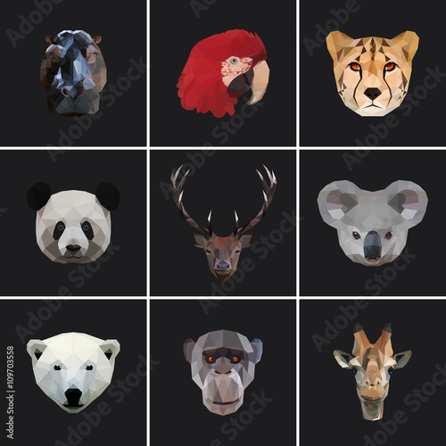 Geometric colored animal set