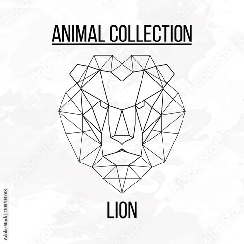 Fototapeta Naklejka Na Ścianę i Meble -  Geometric lion head