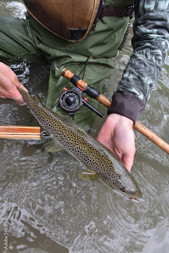 Fly-fisherman holding fario trout caught in river