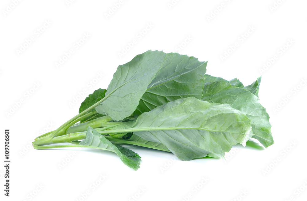 Chinese Brocolli on white background Chinese Brocolli on white background