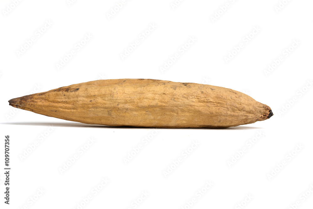 Obraz premium White silk cotton