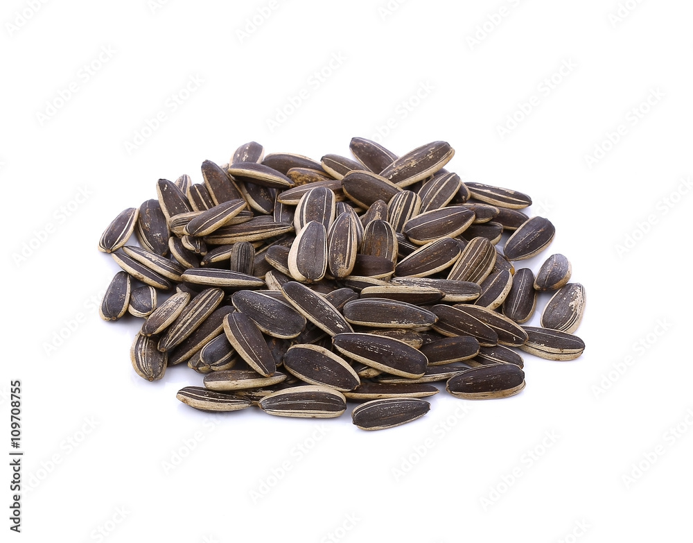 sunflower seeds isolated on white background sunflower seeds isolated on white background