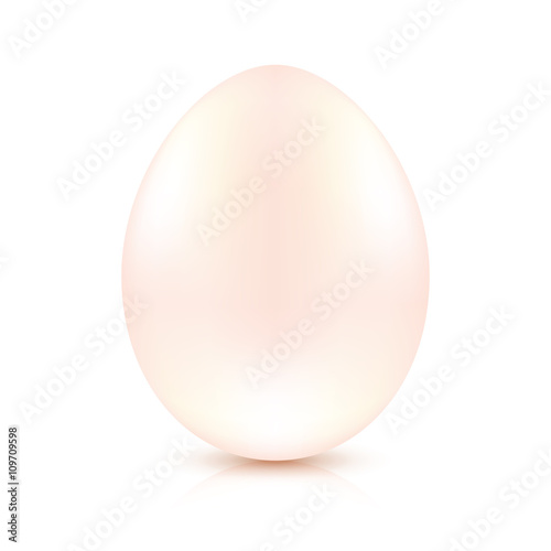 Vector egg on white background