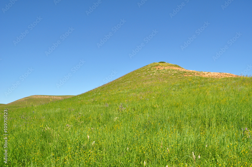 Summer landscape: a view of the green hills