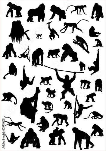 Affensilhouetten