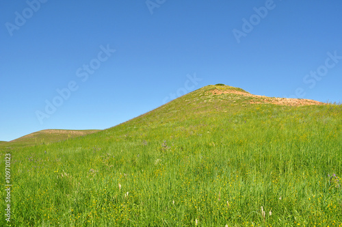 Obraz na płótnie Summer landscape: a view of the green hills w salonie