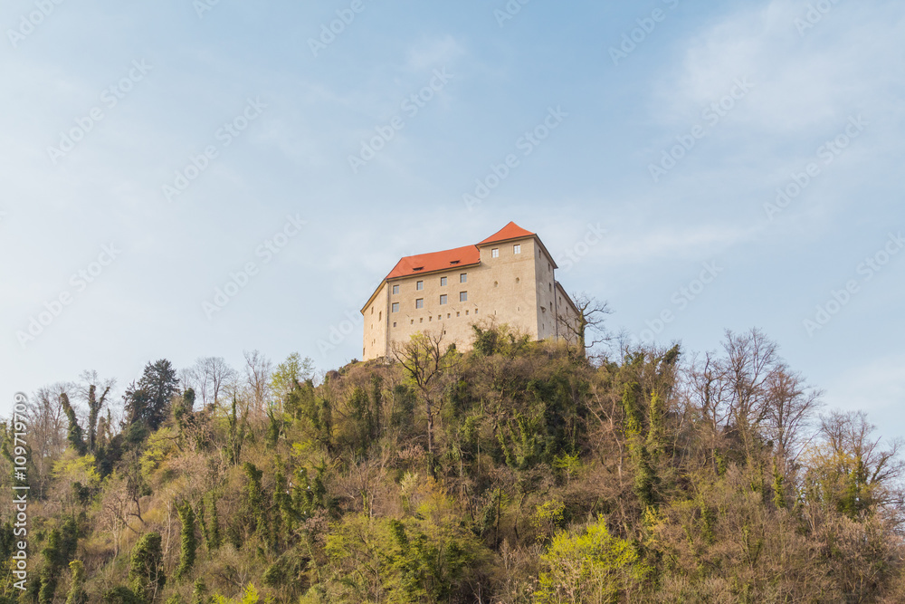 Fototapeta premium Brestanica, Slovenia - April 2, 2016. View of the Rajhenburg castle on the top of the hill.
