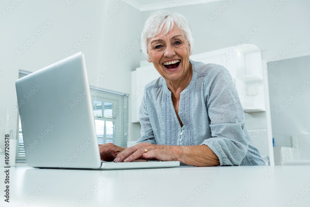 Portrait of cheerful senior woman with laptop Portrait of cheerful senior woman with laptop