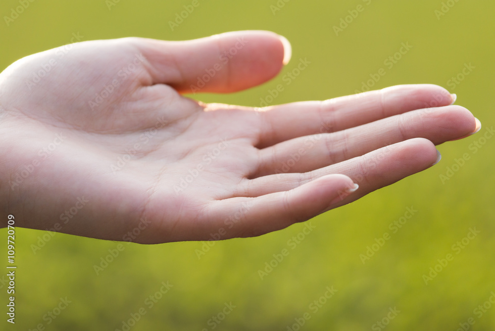 Girl hand on nature on a sunset background Girl hand on nature on a sunset background