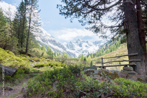 Rastplatz mit Holzbank in den Alpen