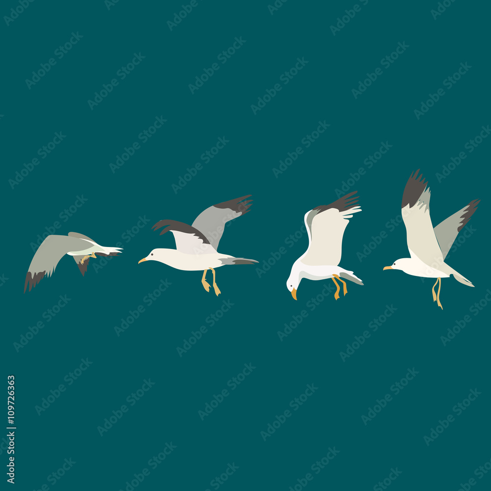 Naklejka premium seagulls flying set. Vector