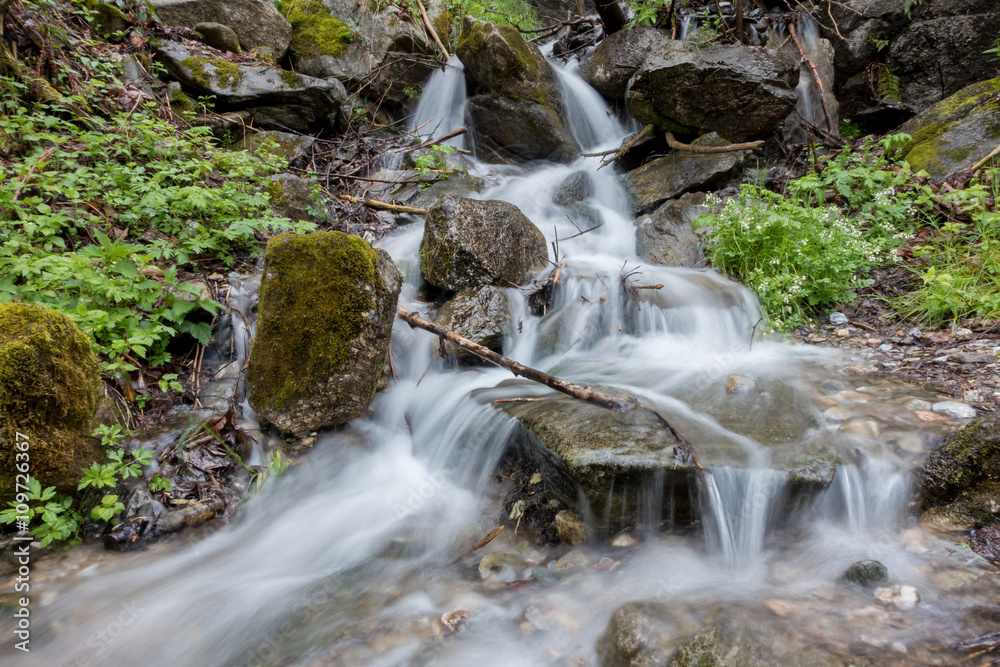 Fototapeta premium Quellwasser