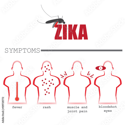 zika virus most common symptoms. vector format infographic illustration