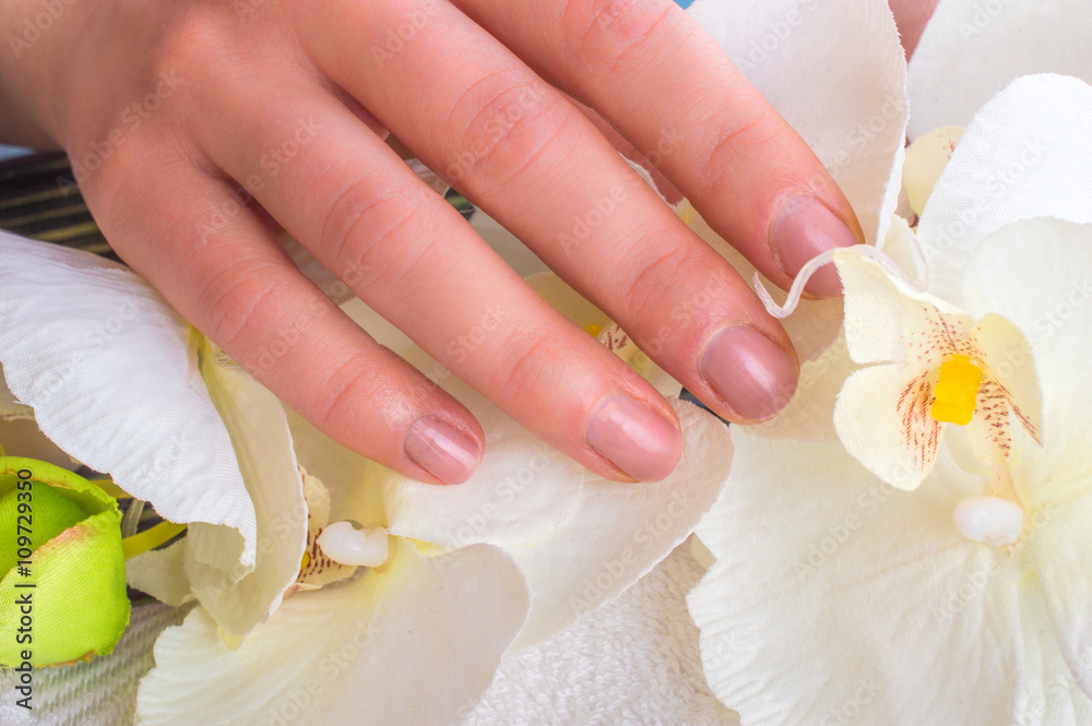Woman in nail salon doing manicures. Attributes for manicure, gels, varnishes, nail file, scissors, towel. Hand Care nail services. Woman in nail salon doing manicures. Attributes for manicure, gels, varnishes, nail file, scissors, towel. Hand Care nail services.
