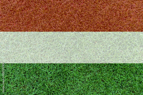 Football field textured by Hungary national flag on euro 2016