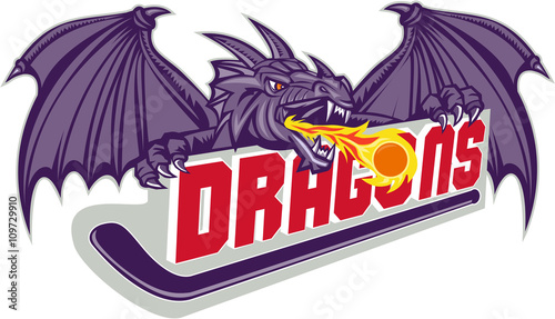 Dragon Fire Hockey Stick Retro