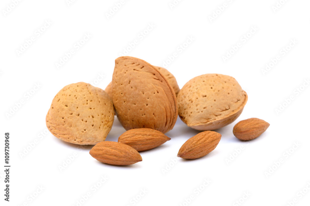 Fruits of almonds isolated on white background Fruits of almonds isolated on white background