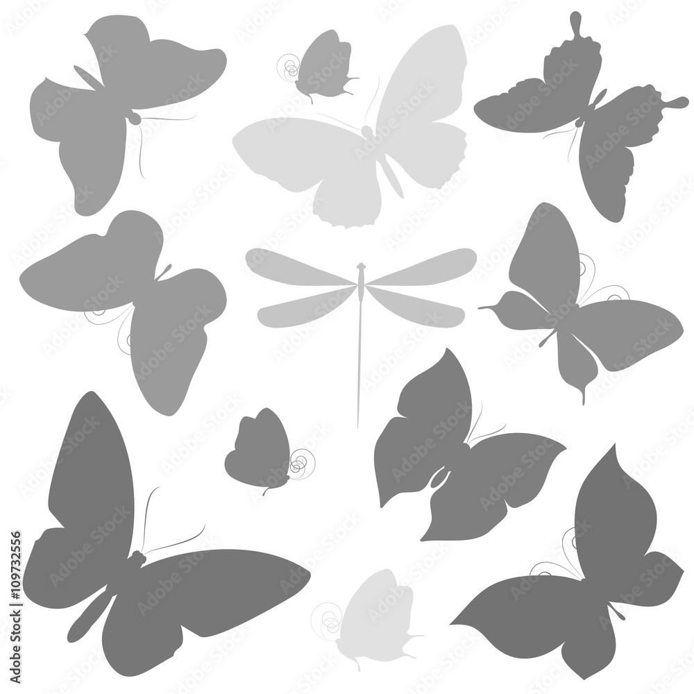 butterflies design