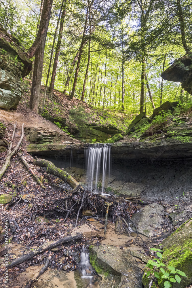 Fototapeta premium Maidenhair Falls