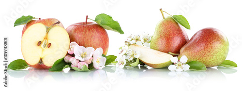 Fototapeta Naklejka Na Ścianę i Meble -  Apfel und Birne Äpfel Birnen Frucht Früchte Obst Freisteller f