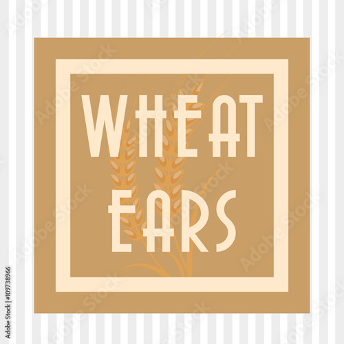 Wheat icon. grain design. Agriculture concept