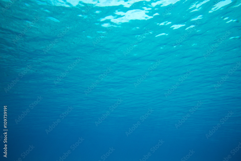 underwater underwater