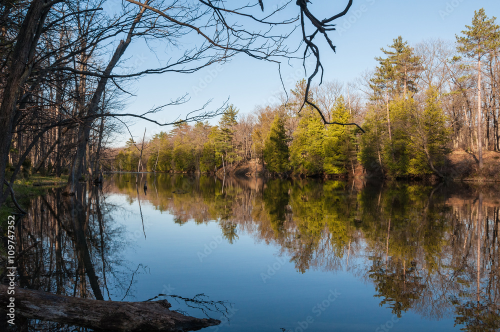 Fototapeta premium Lake view