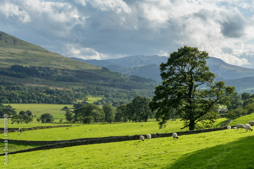 Countryside of the Lake District © philipbird123