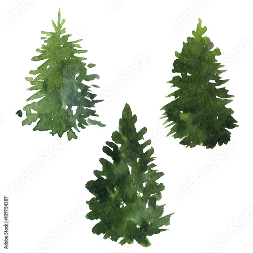 set of fir trees