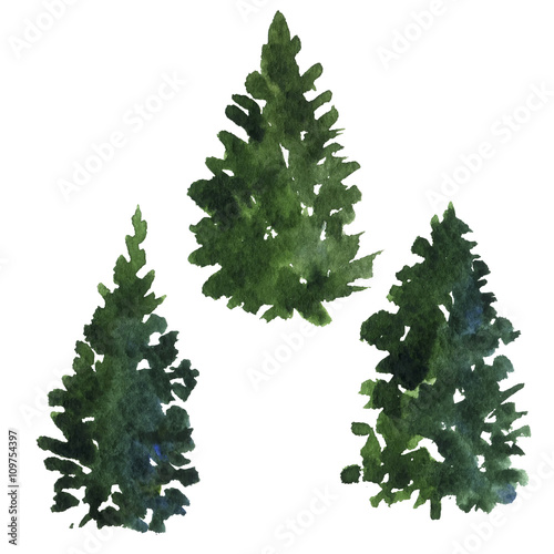 set of fir trees