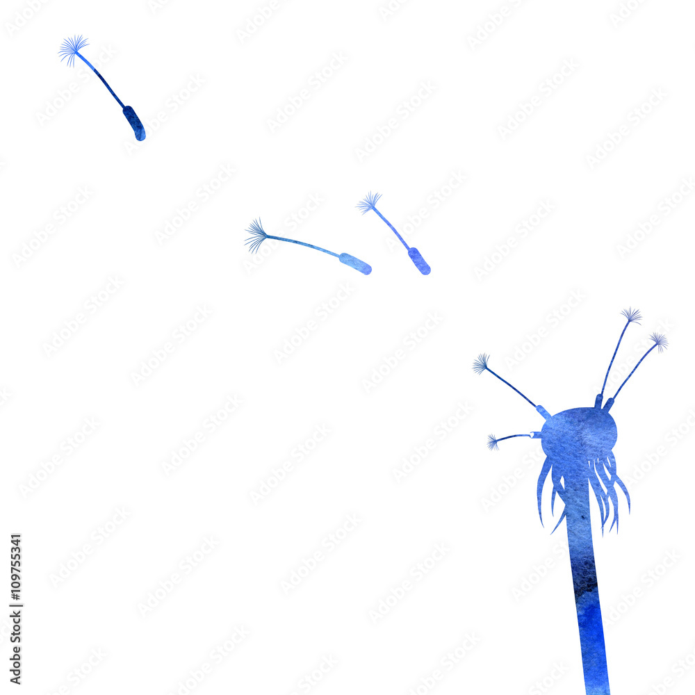 Flying dandelion seeds Flying dandelion seeds