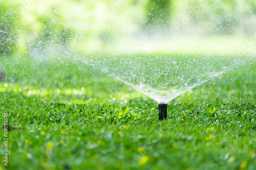 Fotografia Automatic garden lawn sprinkler in action watering grass