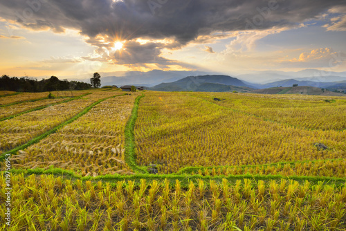 The beautiful sunset at Terraced Paddy Field in Mae-Jam Village   Chaingmai Province