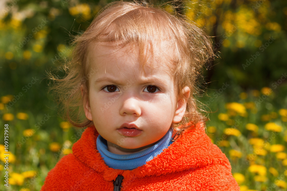 Young boy exploring nature in a meadow