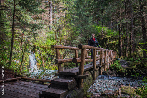 Sitka Alaska Log Bridge 