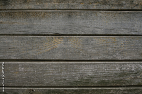 wooden planks background 